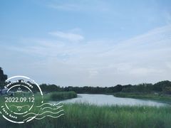 -贡湖湾湿地公园