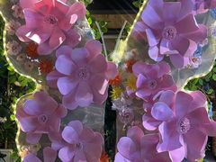 -云尊府云南菜·蒸汽石锅鱼(学清路店)