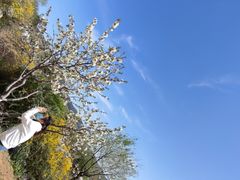 -北京西山国家森林公园