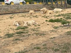 -秦皇岛野生动物园