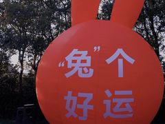 -同里国家湿地公园