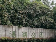 -汤湖公园