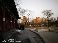 -万柳阁小馆·花园餐厅(龙潭湖店)