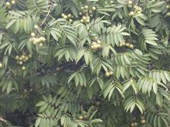 -杭州城北体育公园