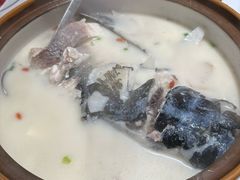 -全乐鱼馆·淳牌有机鱼直营店