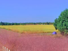 -嘉北郊野公园
