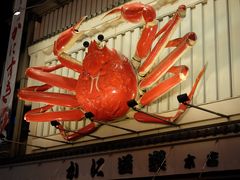 -蟹道乐(道顿堀本店)