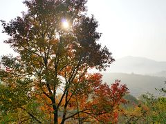 -塔川景区