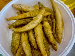 -渔家小院观海海肠捞饭地方菜(环海中路店)