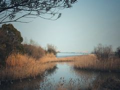 -上海吴淞炮台湾国家湿地公园