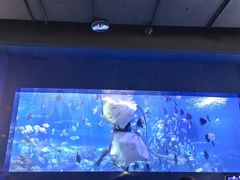 -重庆欢乐海底世界