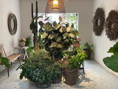 -云里小坐·小院里·团建·宴请·下午茶(三圣乡店)