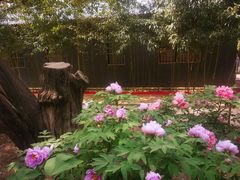 -北京市劳动人民文化宫(太庙)
