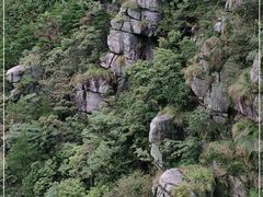 -庐山风景区花径公园