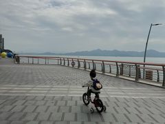 -深圳湾木棉花酒店