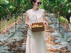 -金谷域澳洲庄园