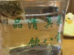 -黑家养生粥道馆(新世纪店)