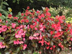 -上海佘山国家森林公园天马山园