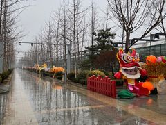 -南宫五洲植物乐园