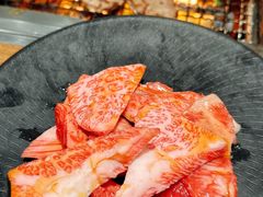 -俺的焼肉(銀座9丁目店)