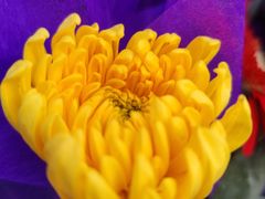 -东华林公墓(东丽殡葬服务站)