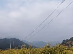 -真功夫(岗顶店)