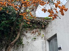 -吴作人艺术馆