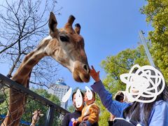 -荆州中山公园动物园