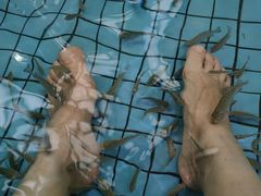 -水立方嬉水乐园