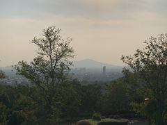 景点-羊山湖公园
