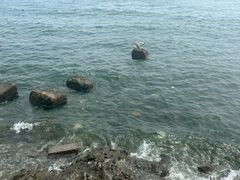 -银沙滩浴场