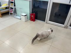 -美迦爱-牙专科·兔科·骨科诊疗中心(北苑店)