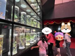 -广东中医药博物馆