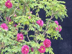-太阳宫公园