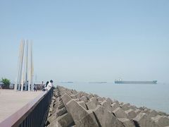 -上海滨江森林公园