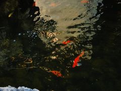 -径山寺