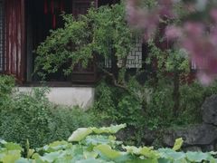 -艺圃