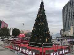 -柳市现代广场