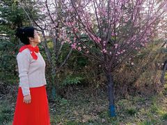 -华夏文旅西安度假区