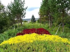 -北极村旅游风景区