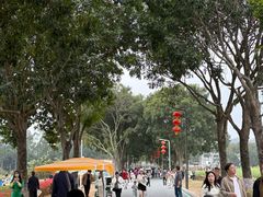 -光明小镇欢乐田园