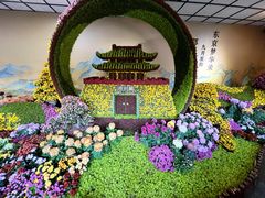 -杭州植物园