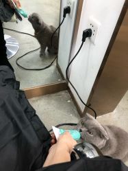 -蚂蚁造型沙龙