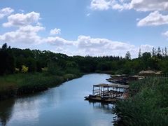 -上海长兴岛郊野公园