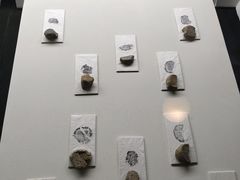 -古陶文明博物馆