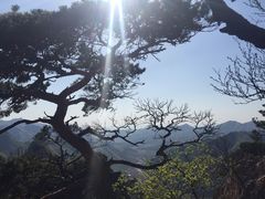 -大连天门山国家森林公园