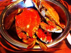 -老号尤兔头(幸福店)