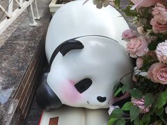 -轩客会(熊猫书店)