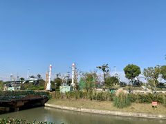 -菊园百果园
