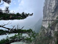 -萍乡武功山风景名胜区